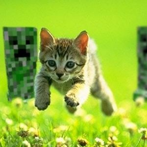 Meet your Posher, Jayden